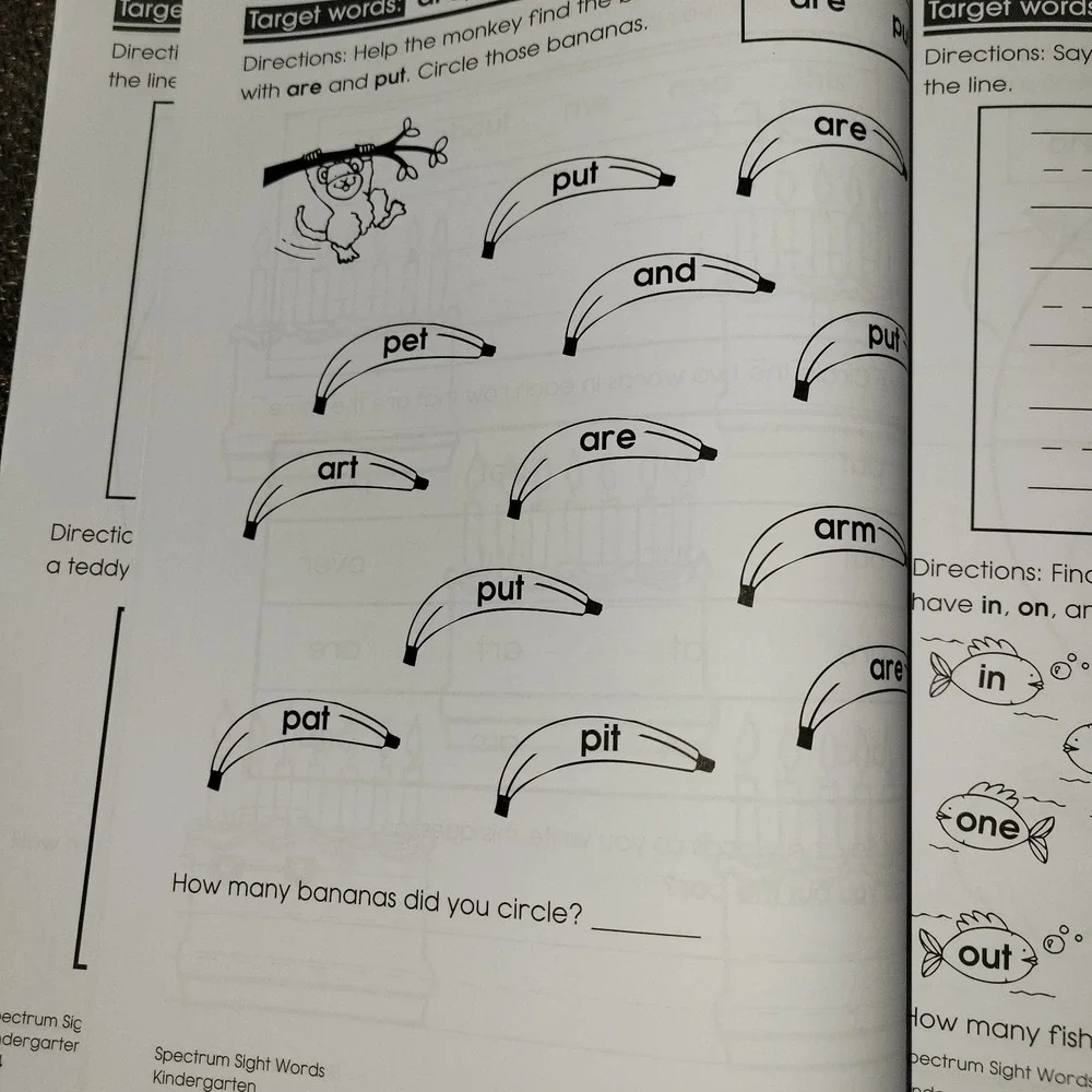 Spectrum Sight Words Grade K Kindergarten Workbook Carson Dellosa Phonics...